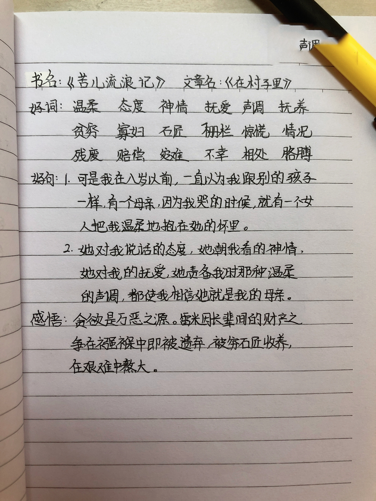 读书笔记 苦儿流浪记的读书笔记 字丑勿喷,还希望大家多多支持