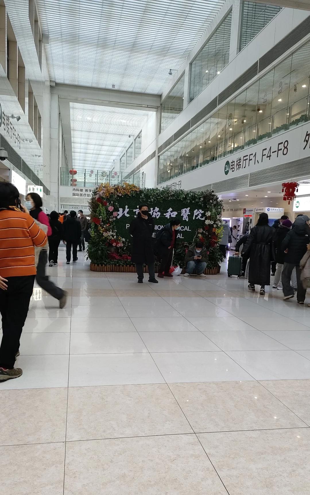 包含协和医院住院办理陪诊挂号院内科室精准引导，不用盲目寻找的词条