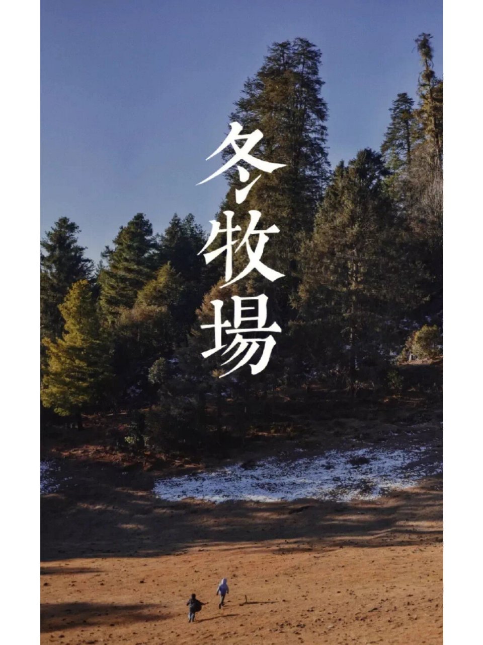 冬牧场 作者李娟,一名汉族作家,2010年跟随牧民居麻一家居住在冬牧场