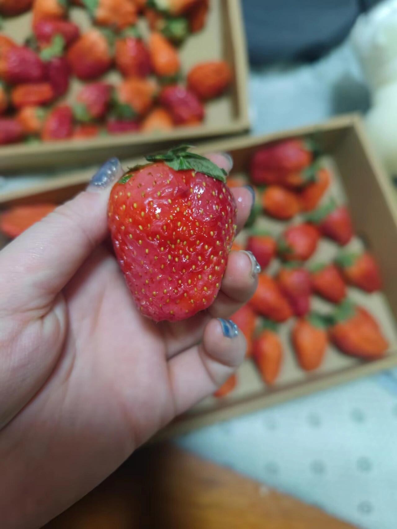 结果烂成这样,所以不是快递的锅.显然