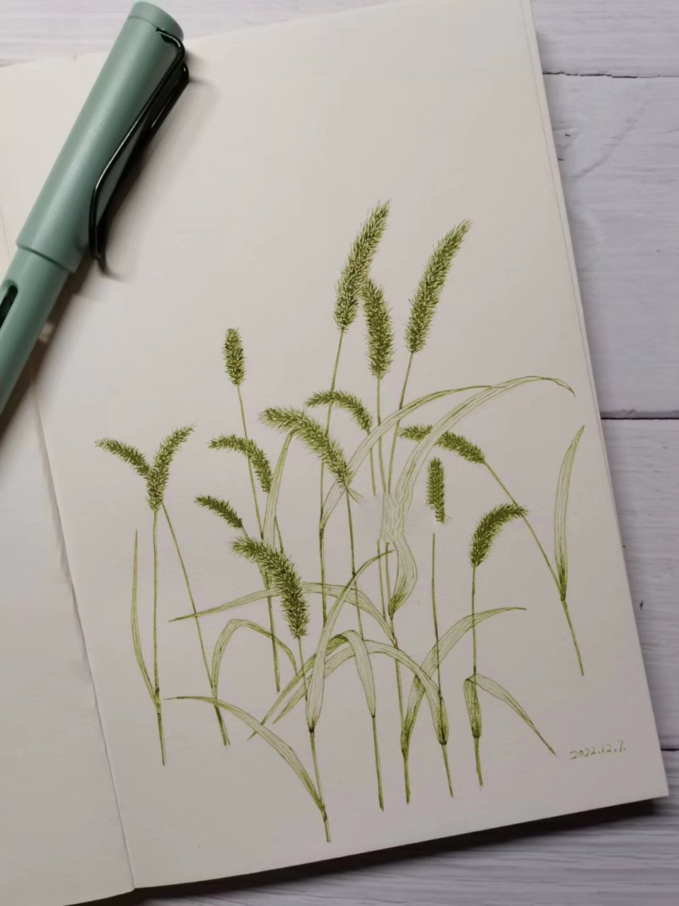 钢笔画练习:狗尾巴草 线条画不直