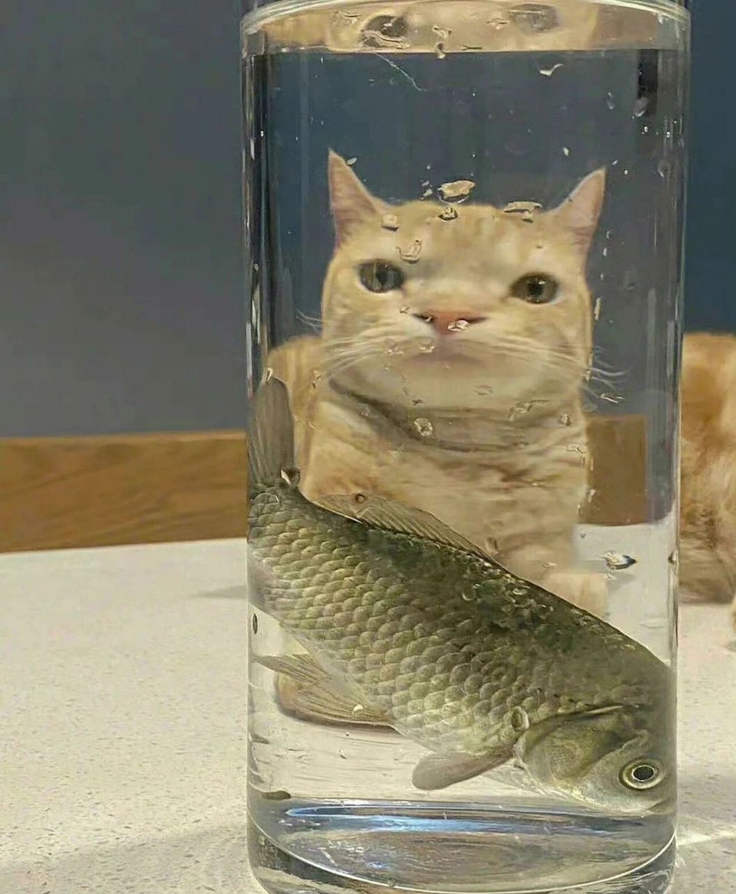 照了一下镜子,伸了一个懒腰回头一看,镜子突然碎成了两半, 吓我一跳