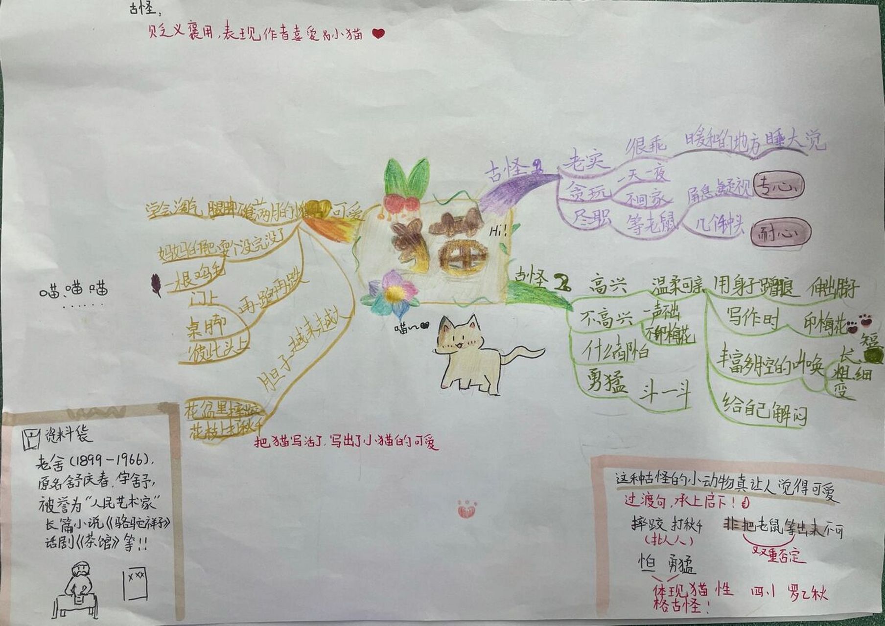 四年级下册老舍的《猫》思维导图来袭～喜欢吗