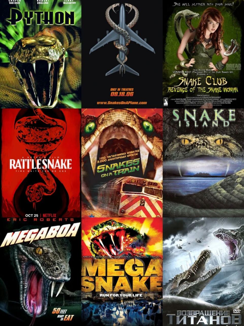 前几期分享过鲨鱼,鳄鱼,食人鱼系列恐怖灾难片的笔记,今天推一期蛇系