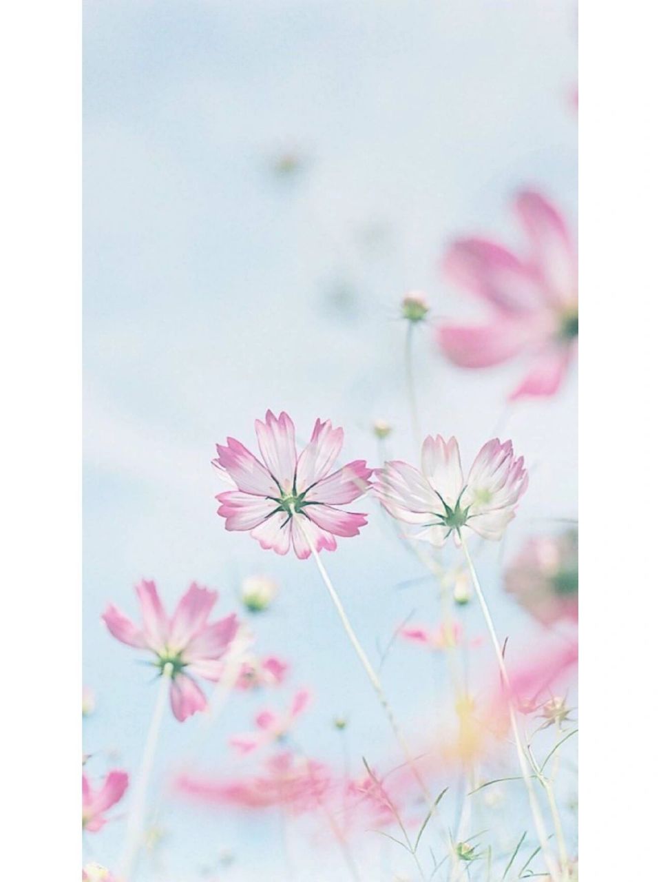 960_1280竖版 竖屏