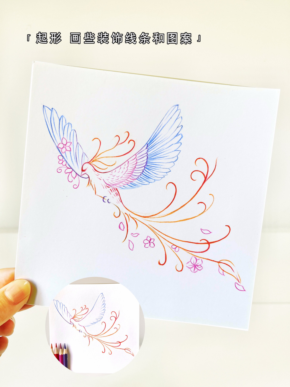 画一只花间飞舞的凤凰～ 简简单单的凤凰彩铅绘画教程来喽!