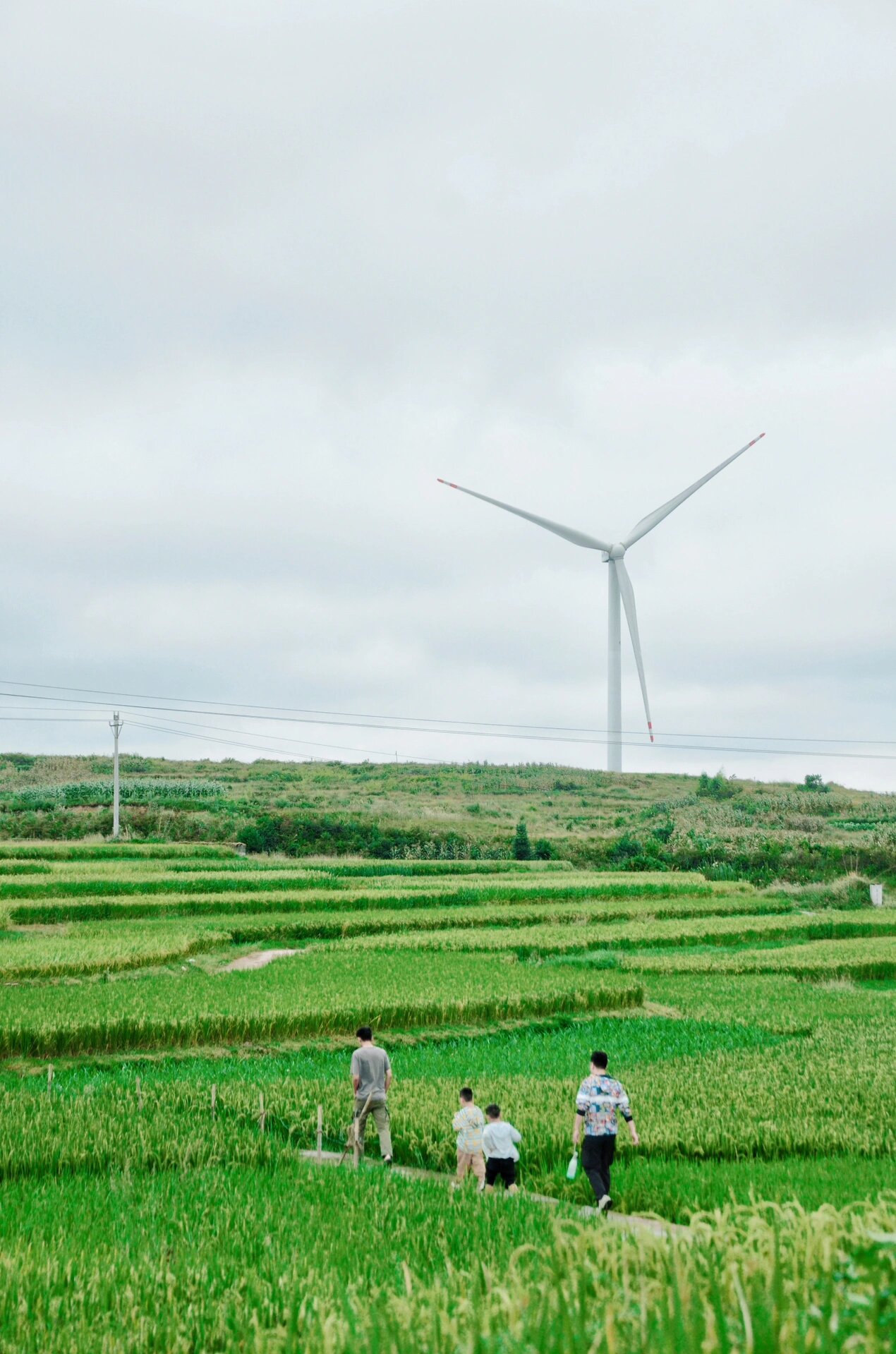 贵阳少数民族乡,追落日梯田的浪漫