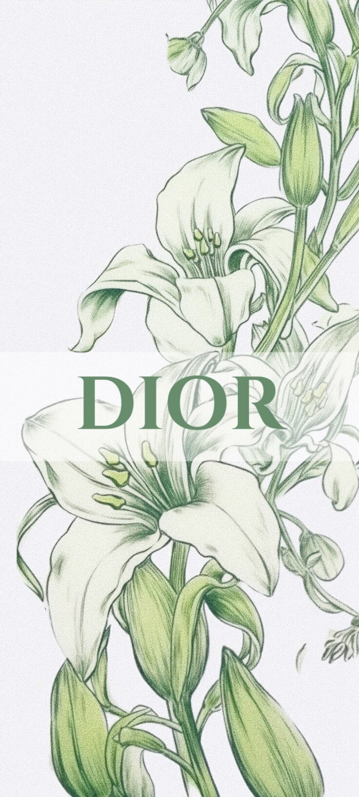 迪奥dior手机壁纸全面屏壁纸