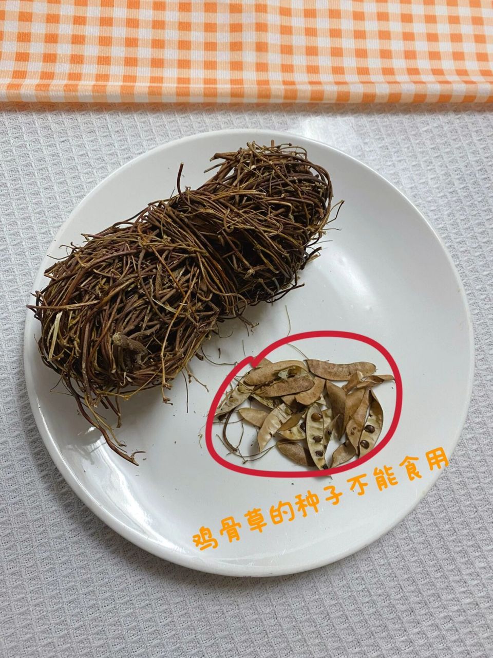 鸡骨草猪横脷煲汤