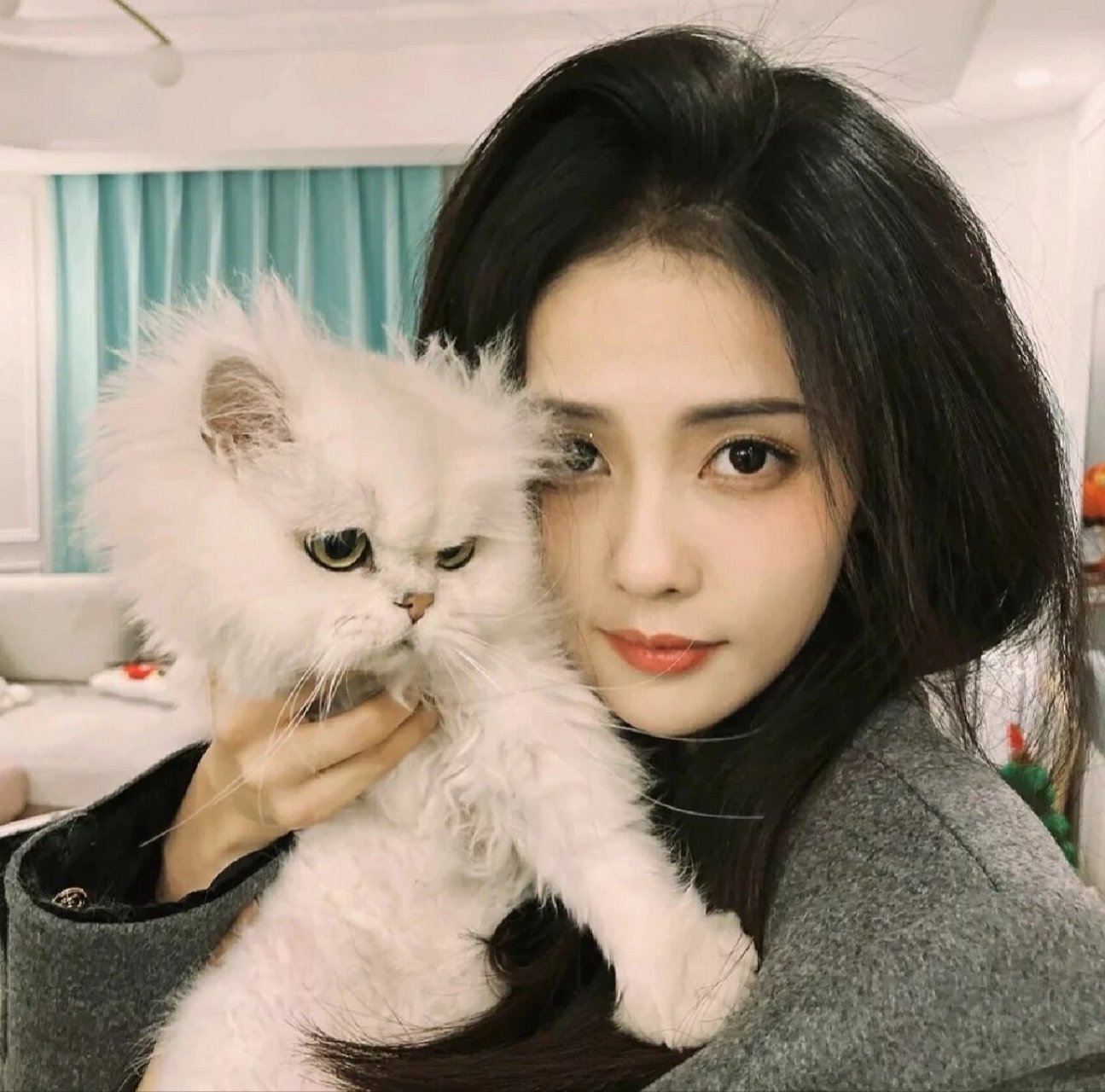 明星头像分享——白鹿