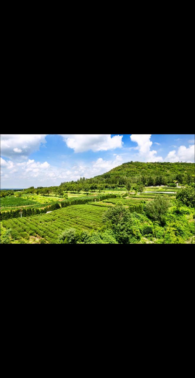 汶上县摄影家协会 遇见济宁 汶上摄影 白石镇 生态白石抖音小助手