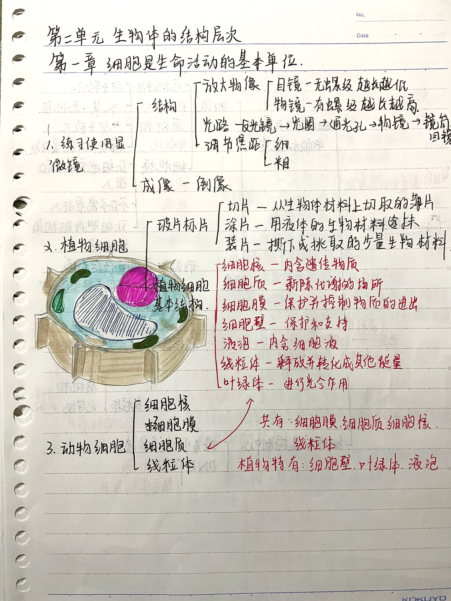 七上超全生物笔记来啦!思维导图手写整理