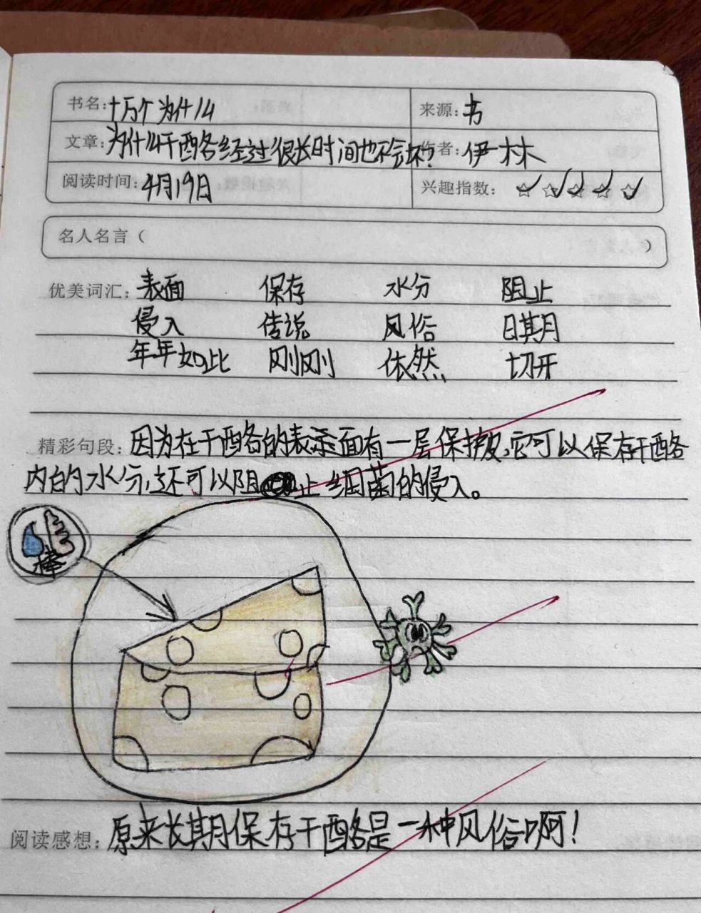 四年级下册读书笔记 十万个为什么读书笔记分享来咯