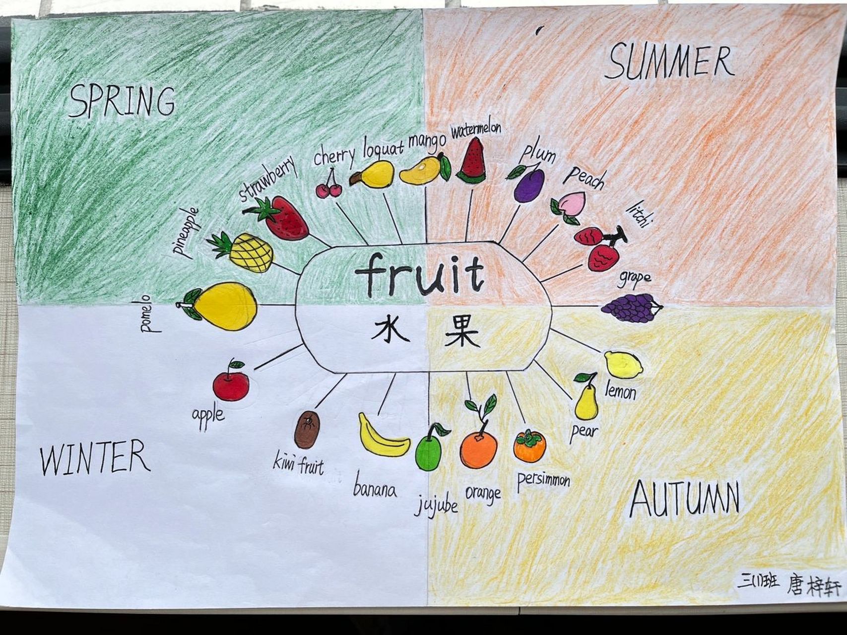 英语作业要求如下:收集自己喜欢的水果单词,用a4纸做关于水果的思维导