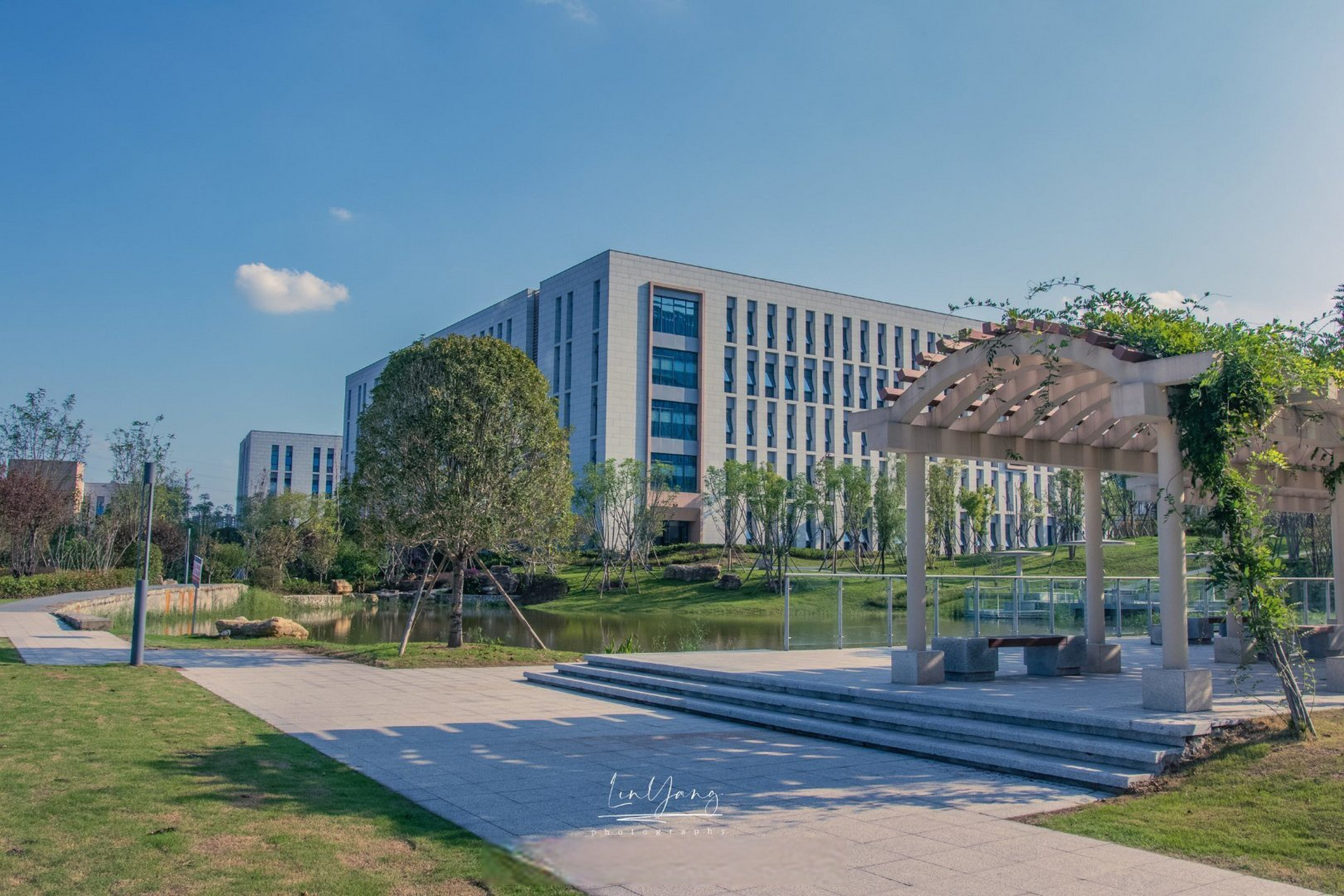 四川轻化工大学##青柠分享# 夏日的热浪吹遍川轻化的校园,这里仍旧