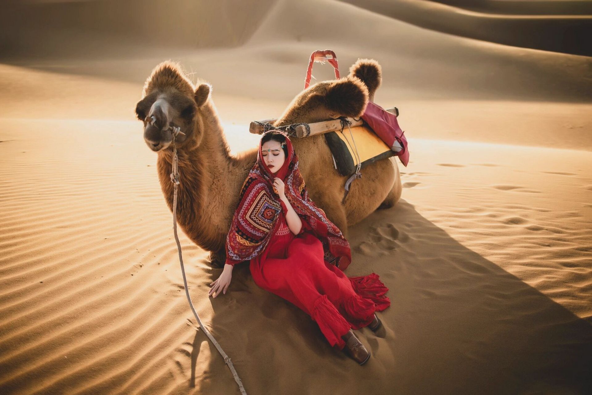 中卫旅拍|沙漠骆驼97