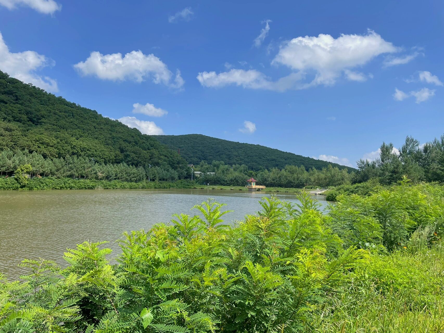 莲花山巴图鲁乐园攻略,长春新晋网红打卡地  游玩项目:(1)斜拉式玻璃