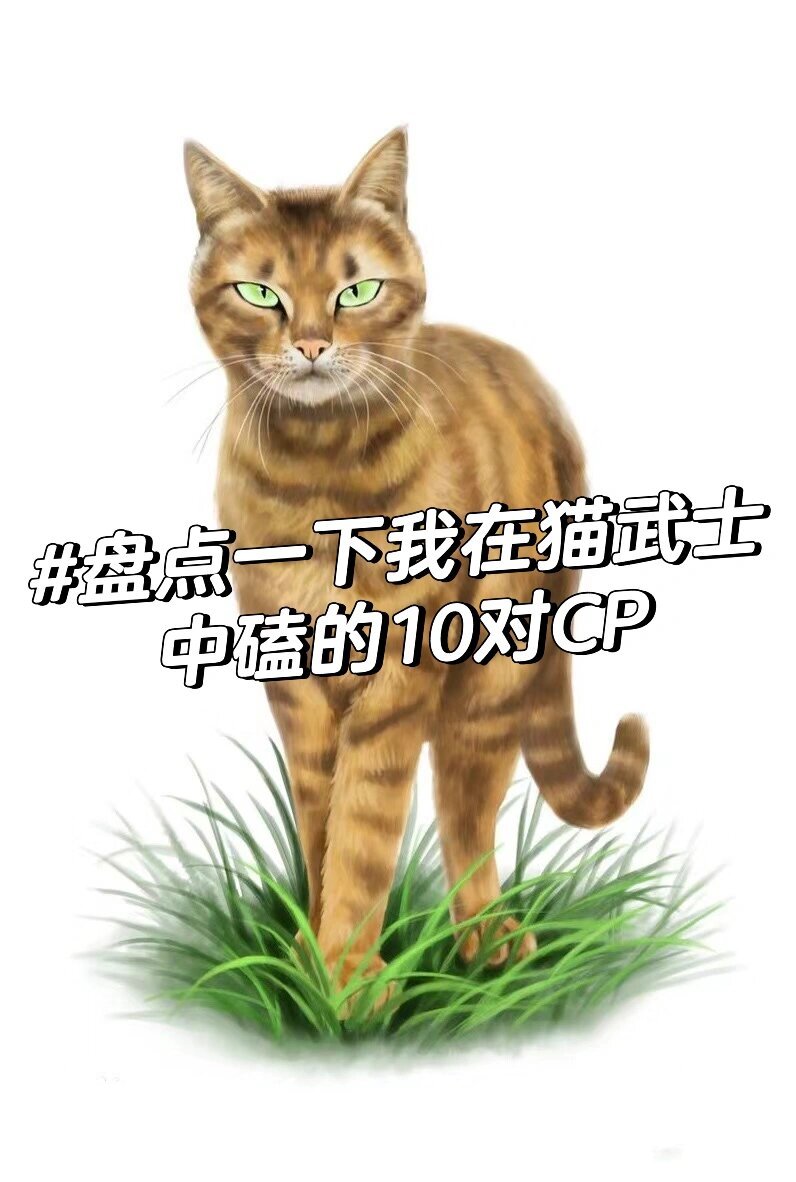 猫武士红尾的伴侣图片