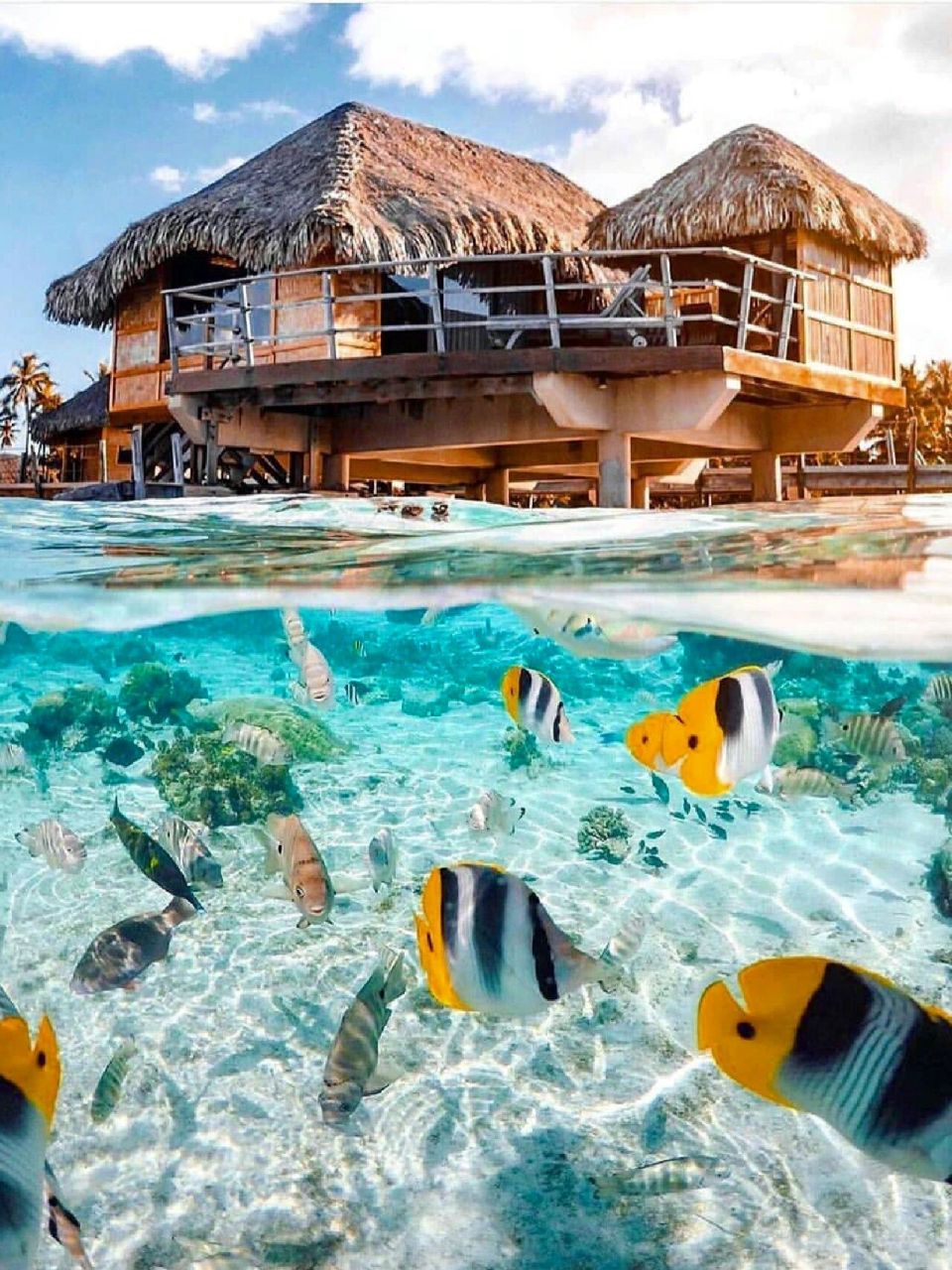 93 波拉波拉岛(bora bora,或博拉博拉岛)太平洋东南部社会群岛岛屿