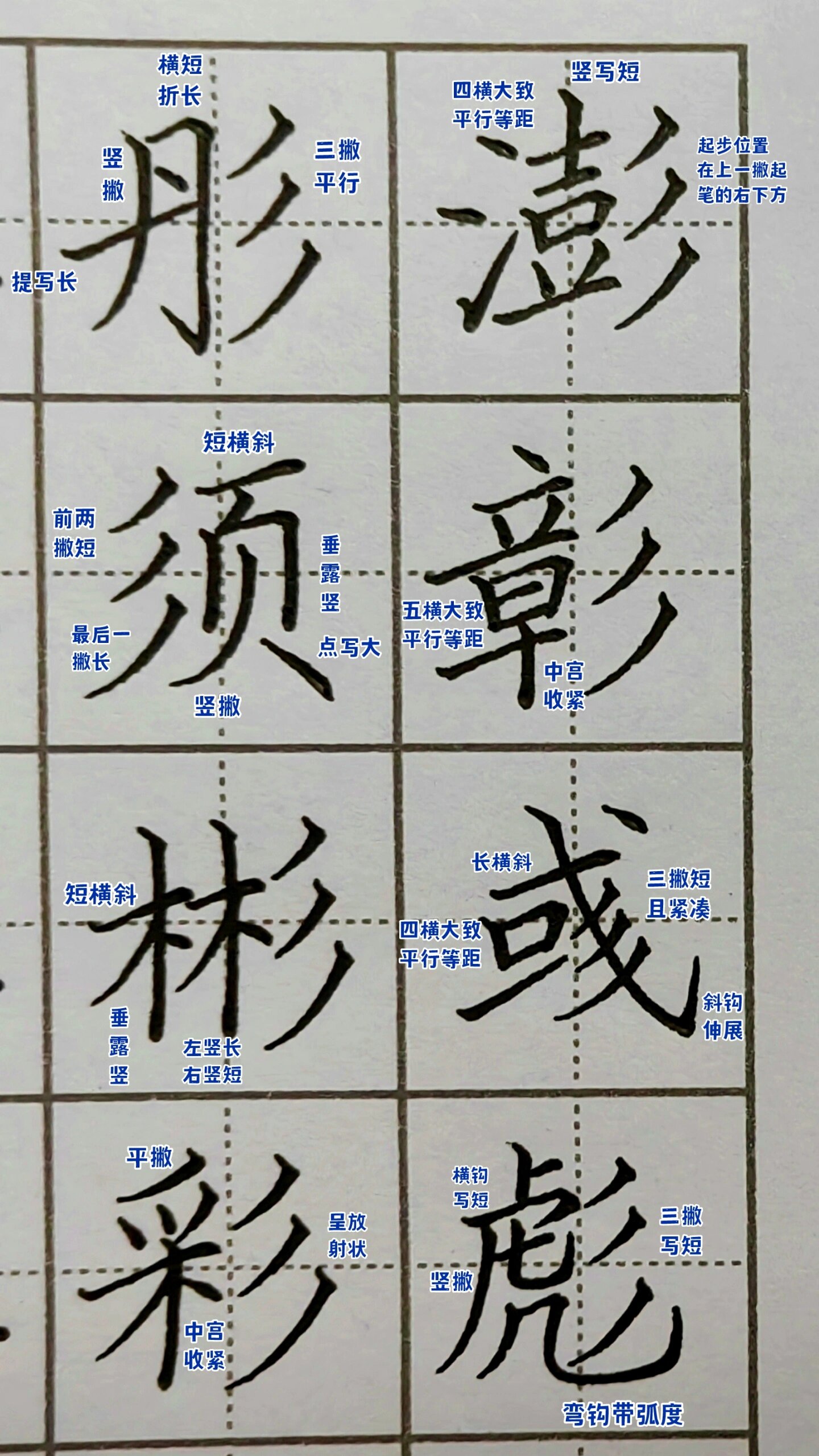 三撇旁图片