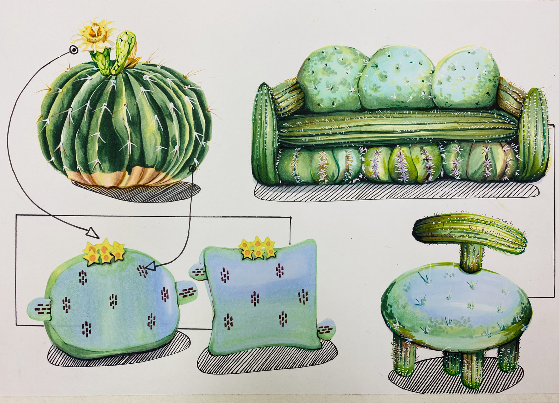 植物仿生设计——仙人掌家具 植物仿生课题可以运用到大龄段转型期