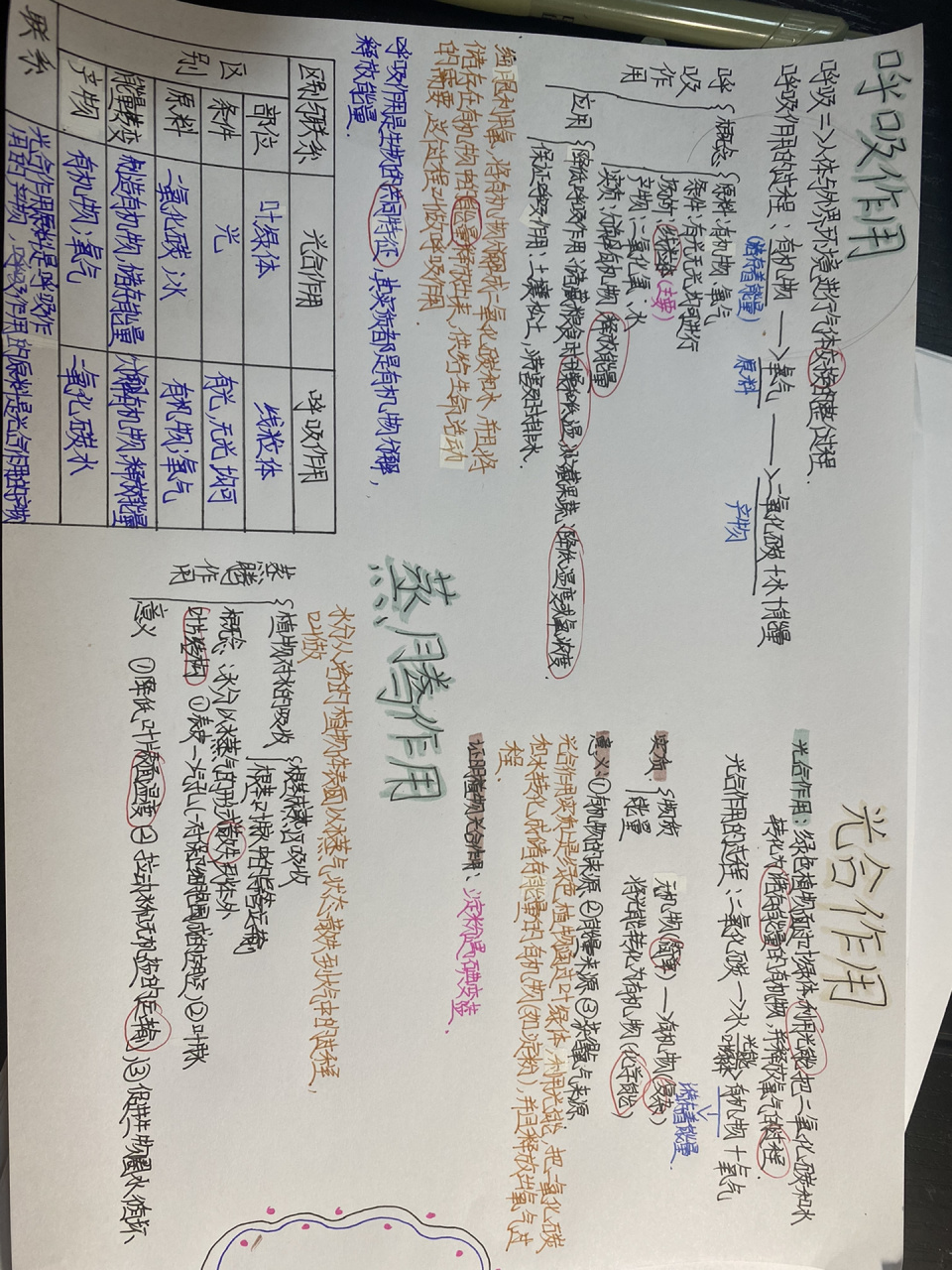 初一上册呼吸作用   光合作用和蒸腾作用思维导图