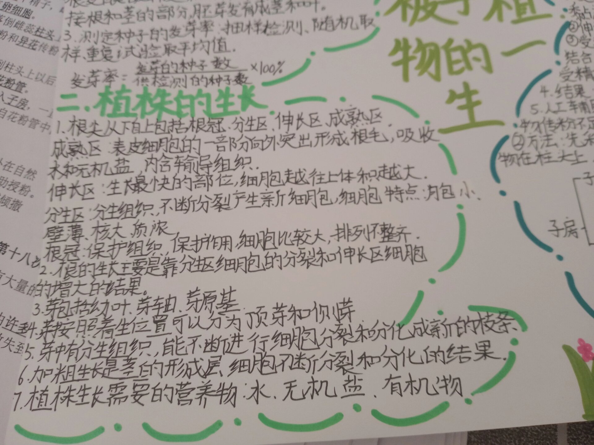 关于被子植物的一生手抄报 只写的有点不好看,不要介意哦 拿图的时候