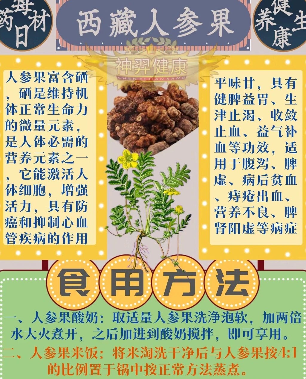 厥麻"高原人参果" 每天了解一个高原特产