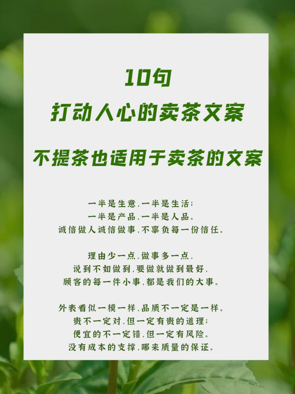 茶文案|10句打动人心的卖茶文案,工作发起来