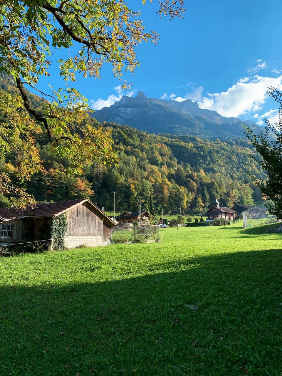 9893瑞士布里恩茨湖|爱的迫降取景地 这里是布里恩茨湖边,拥有