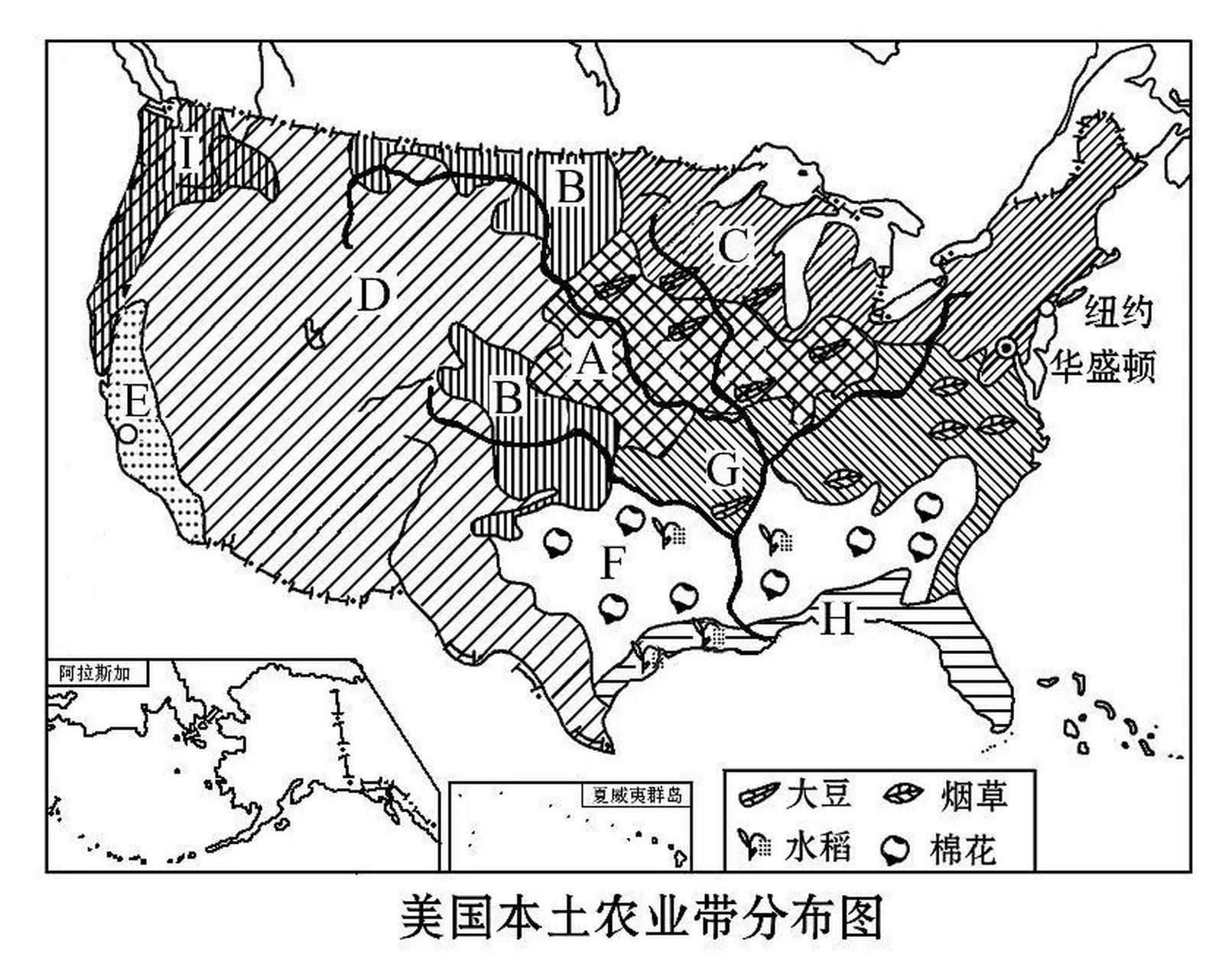 美国填图答案图片