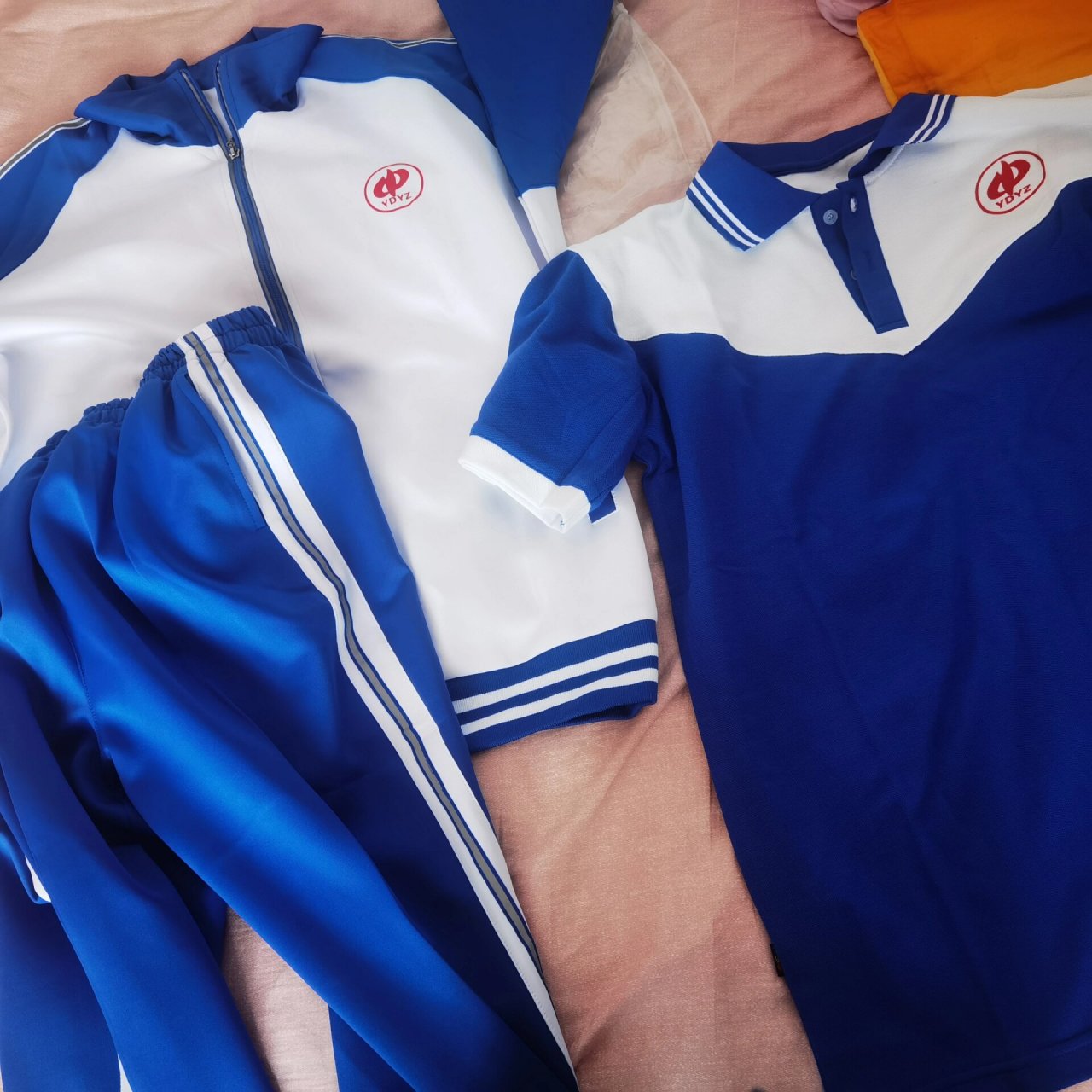 贺朝同学 关于我们学校的校服和伪装学渣立阳二中的校服几乎一模一样