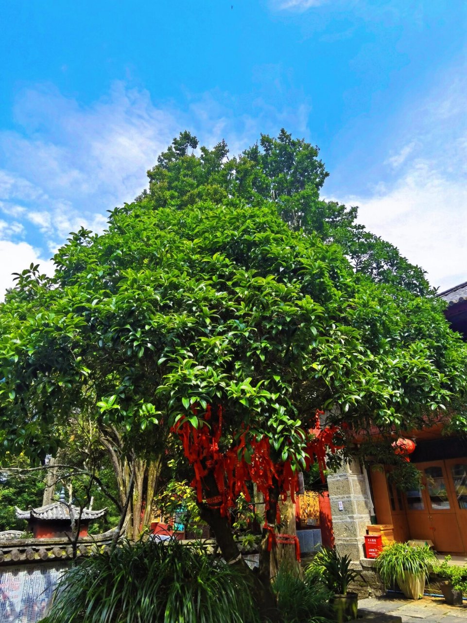 大理感通寺 云南禅宗第一寺:感通寺,又名荡山寺,始建于汉,重建于唐.