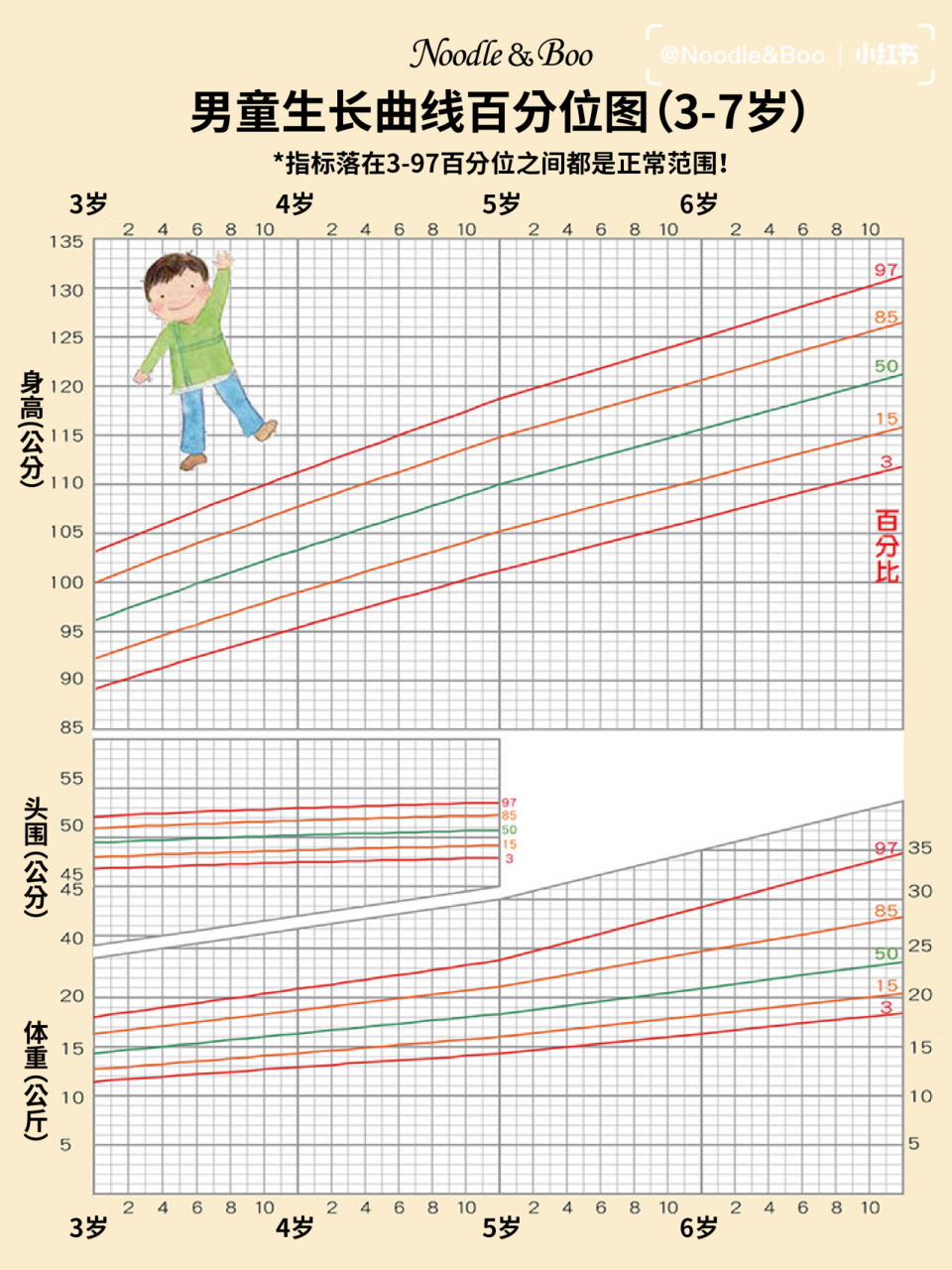 2021年女孩身高图片