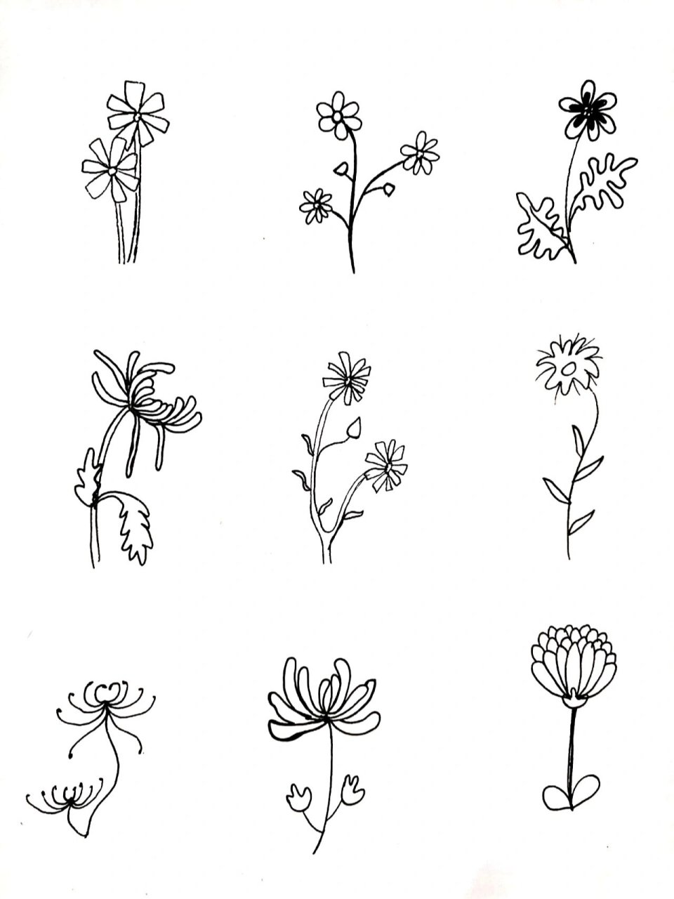 简笔画|儿童简笔手绘菊花|67/100 又到了满山遍野菊花盛开的季节了啦!