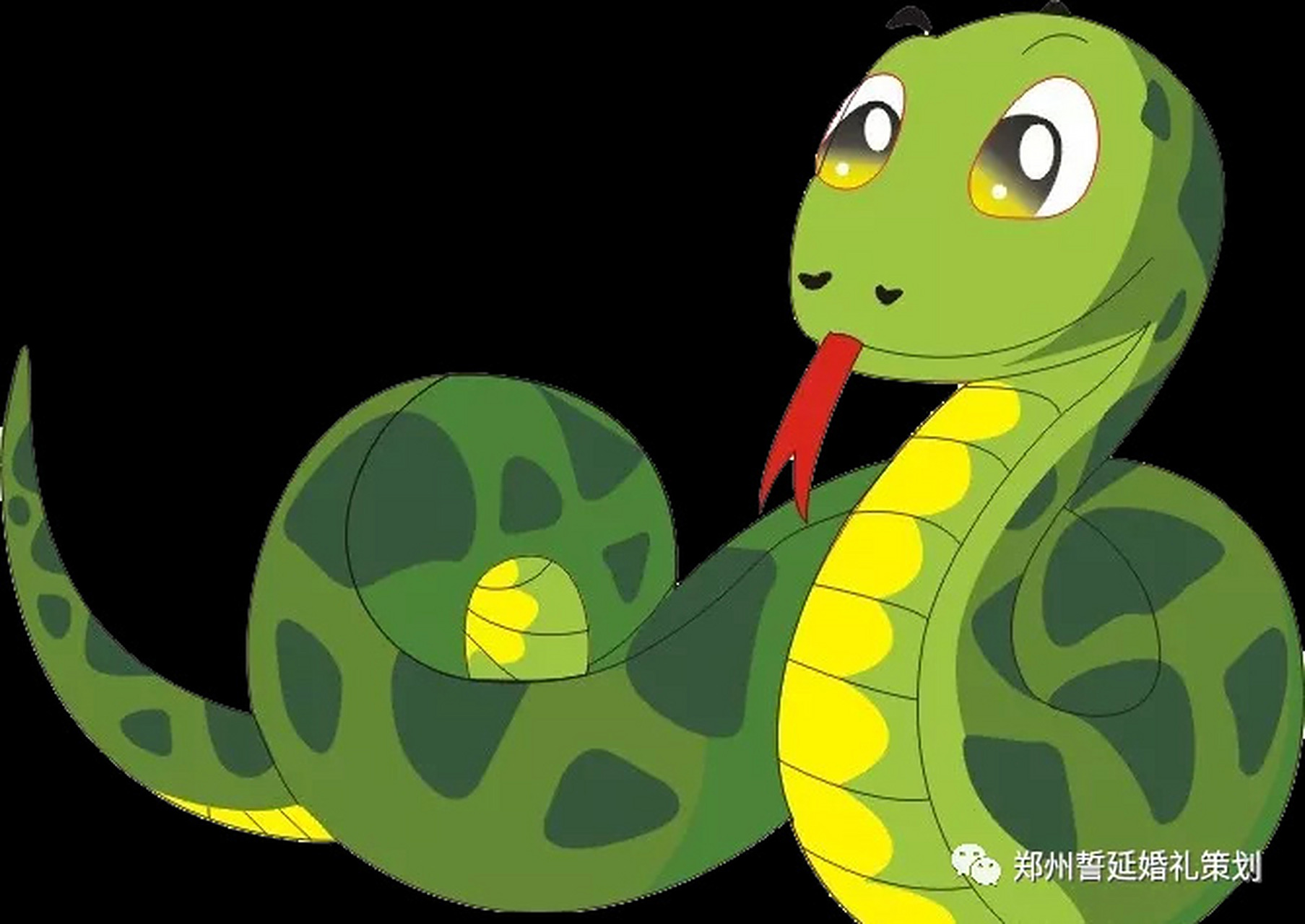 蛇女的属相婚配表!