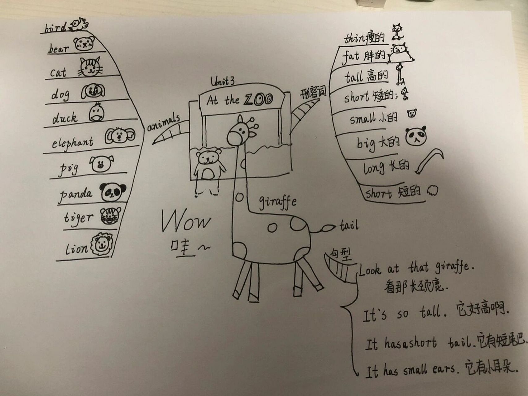 英语手抄报Zoo 简单图片