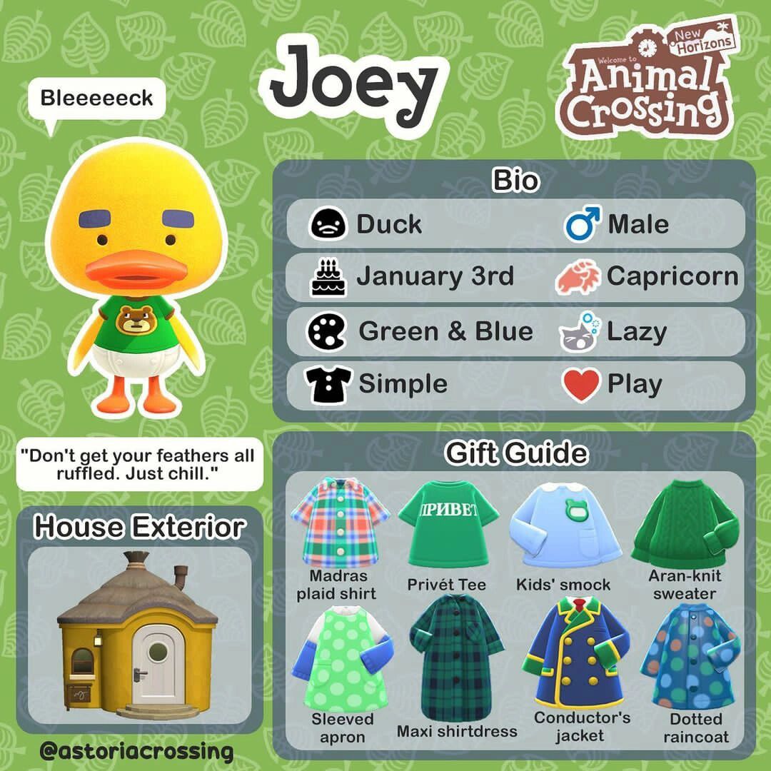 动森丨小动物送礼指南97第一弹 还在为偶遇小动物不知道送什么发愁