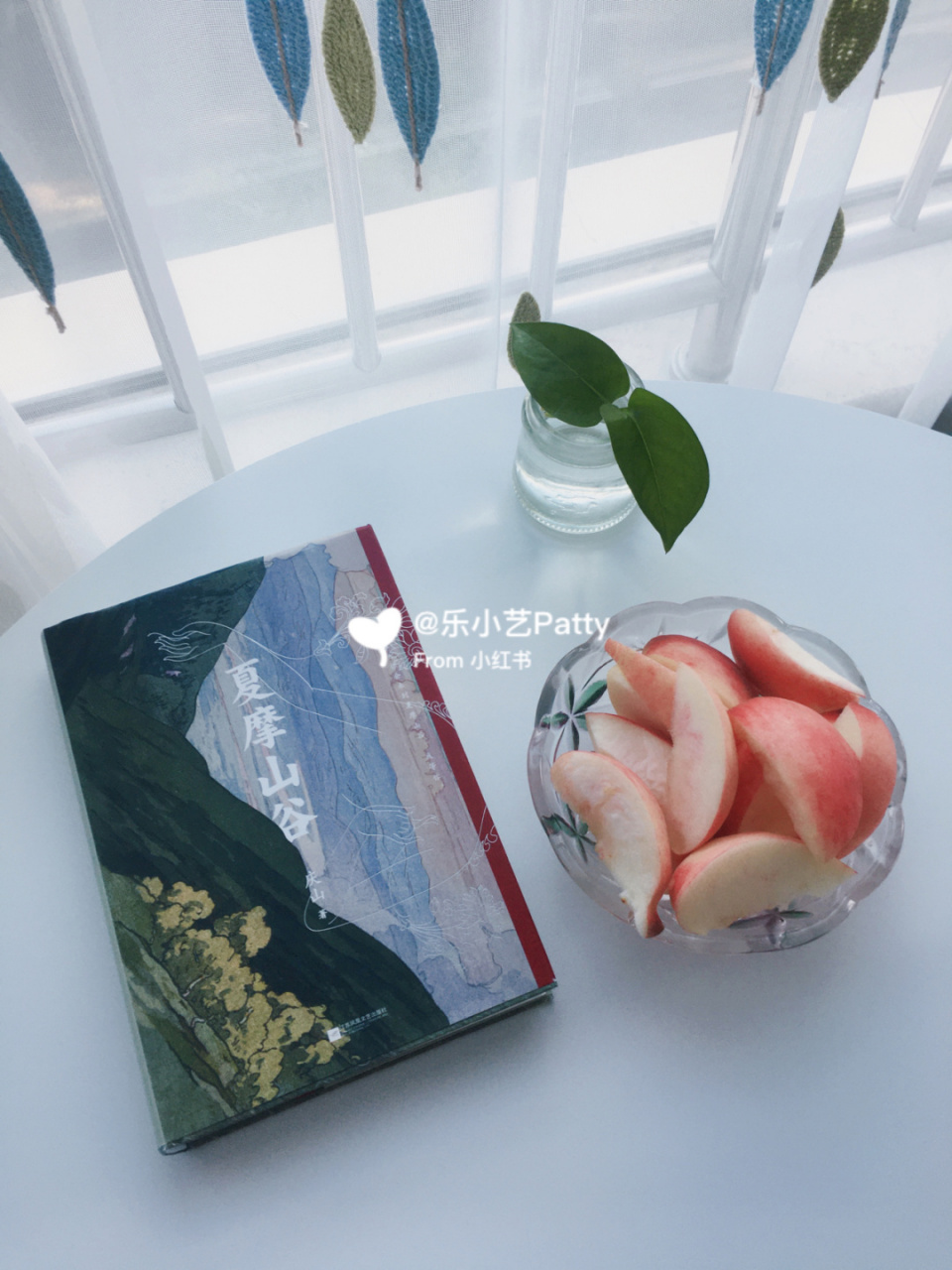 治愈系91心灵书单|从心出发 7815夏摩山谷 92书名:《夏摩山谷