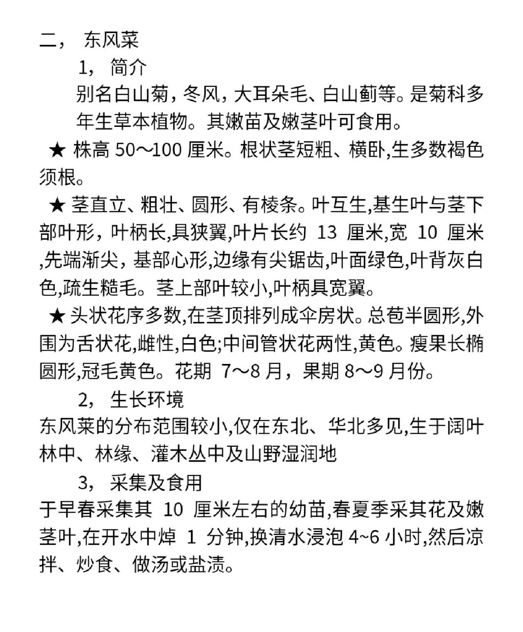 吉林省野菜——东风菜(大耳朵毛)