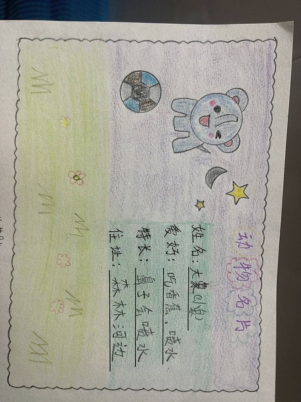 动物名片制作  二年级作业  又是瞎搞