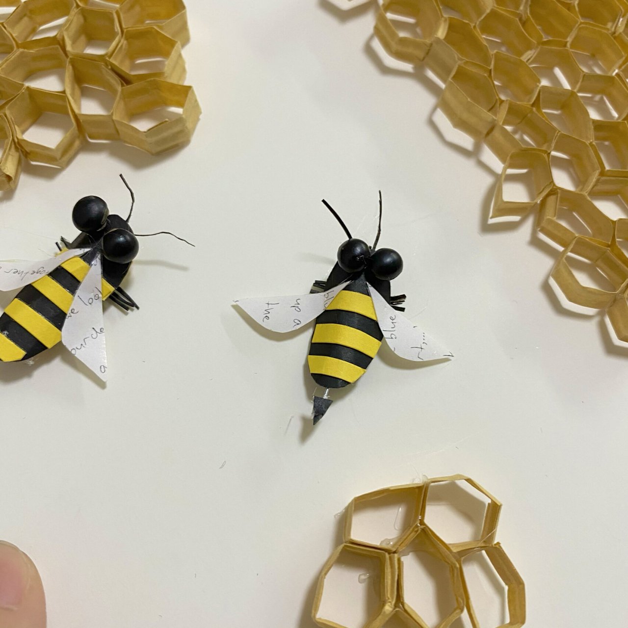 幼儿手工 昆虫益虫制作