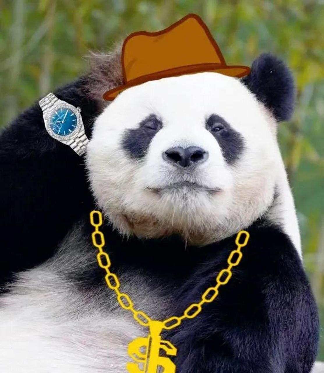 乐宝:每天努力打工,给老婆孩子挣大金链子戴  乐宝