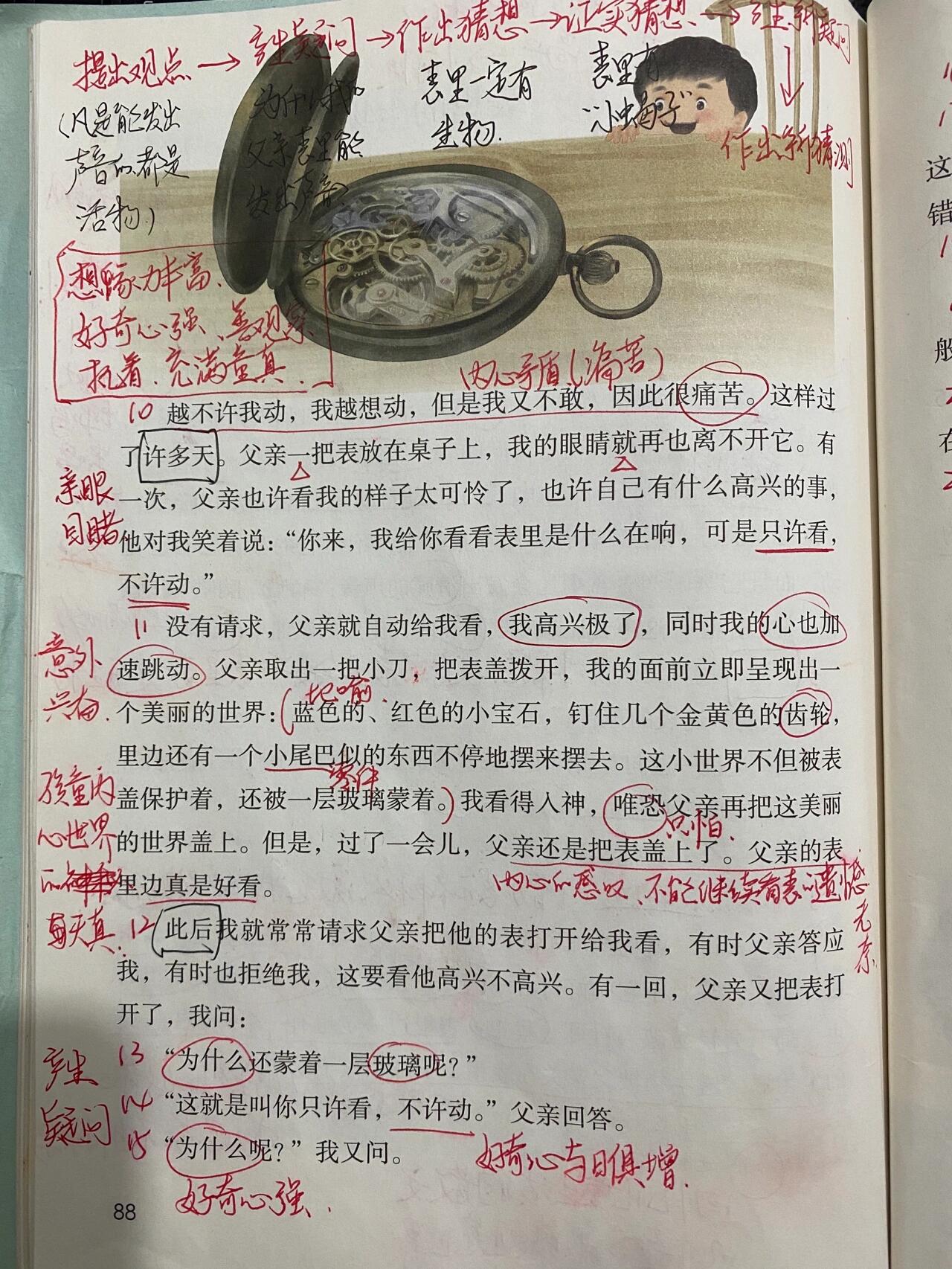六下语文部编《16表里的生物
