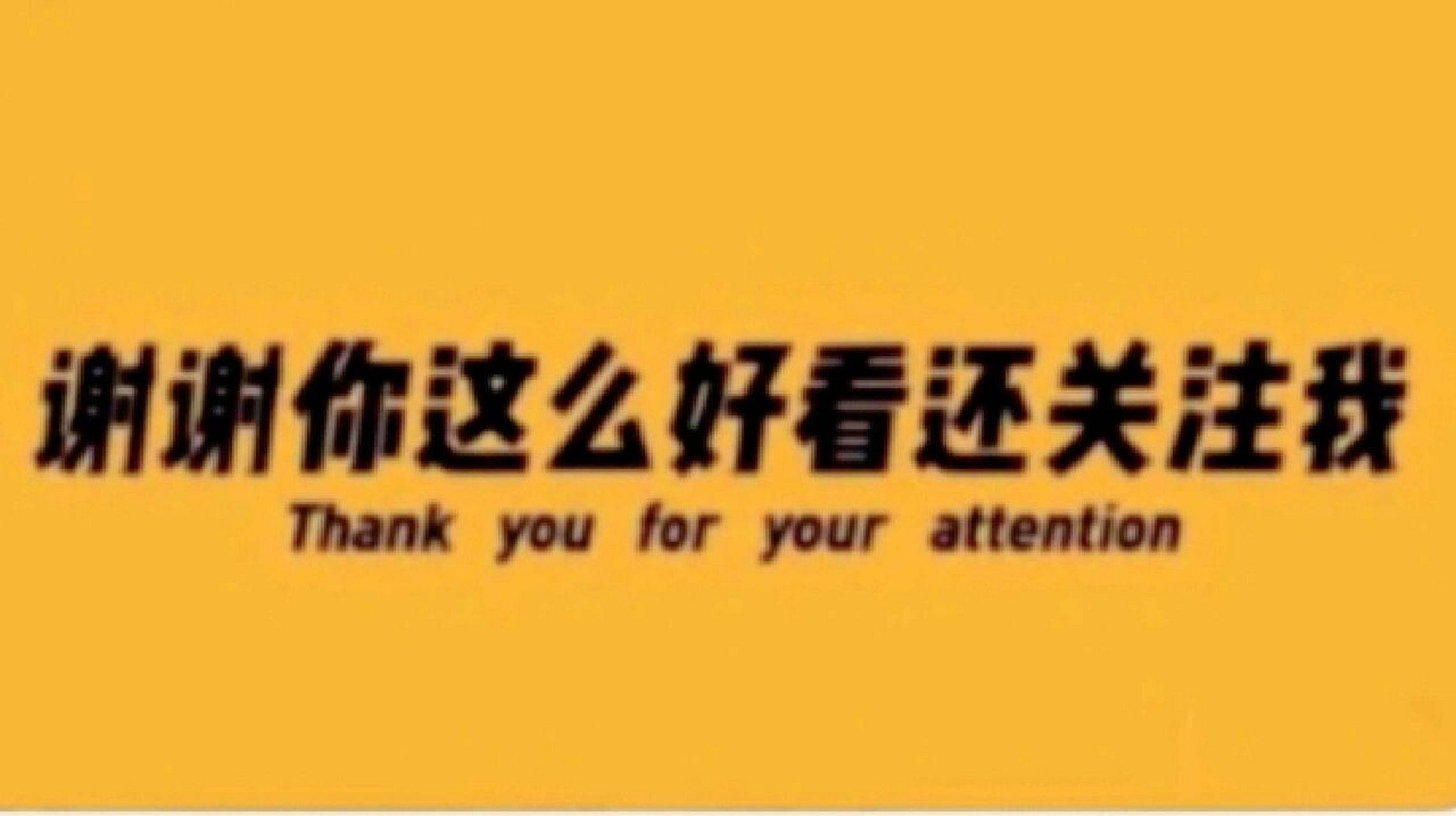 谢谢你长得这么好看还关注我