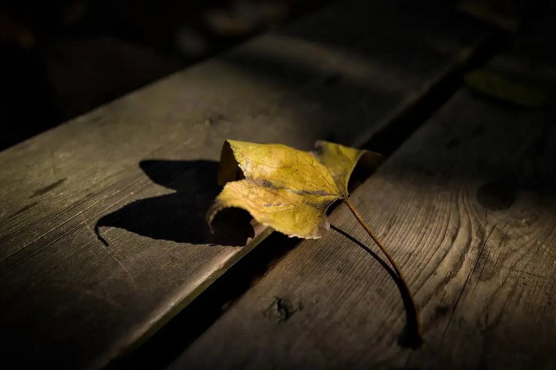 伤感文案|扎心,泪点,emo0199%的人都看哭了 92伤心,从不是件坏事