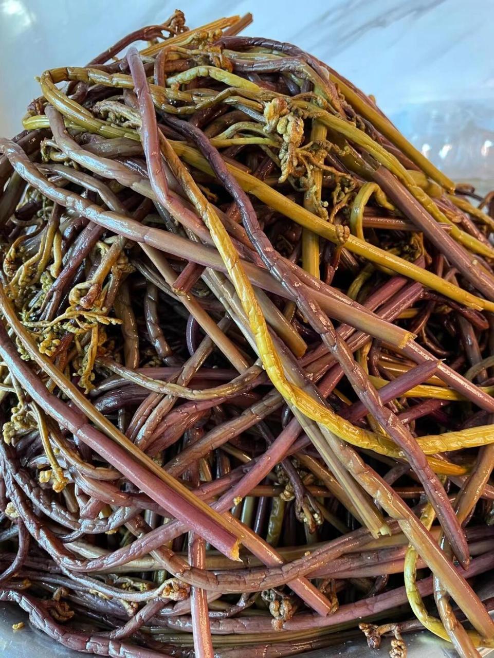 农家自制酸蕨菜,最后两坛,喜欢的亲们备货 农家自制酸蕨菜,最后两坛