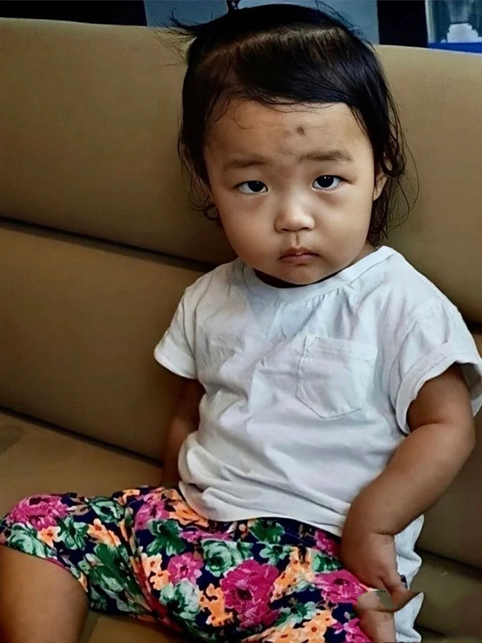 突然发现这张清晰度高的照片,看出很多问题,以前没注意,郑仁应该是在