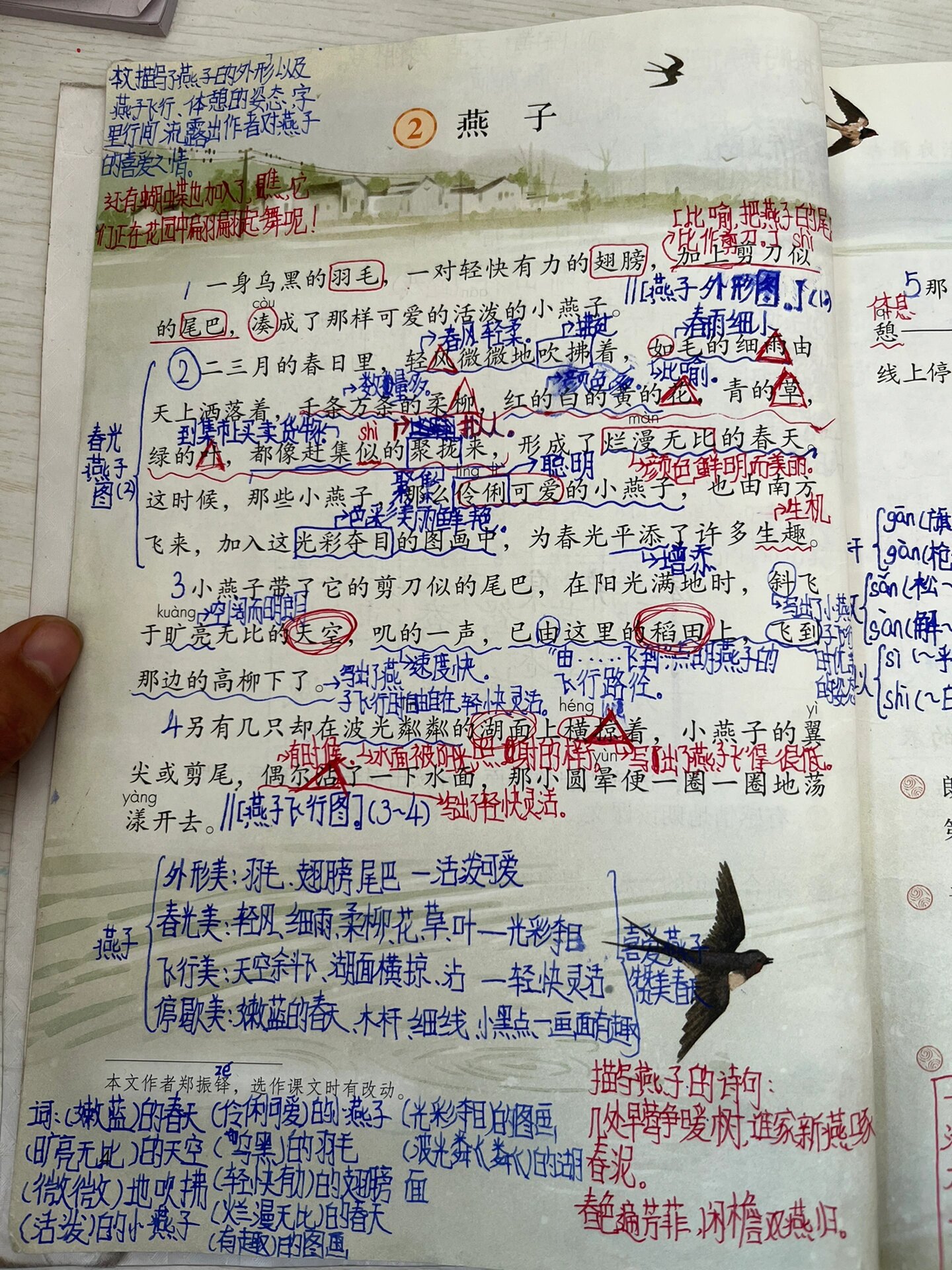 三下语文《燕子》学生笔记