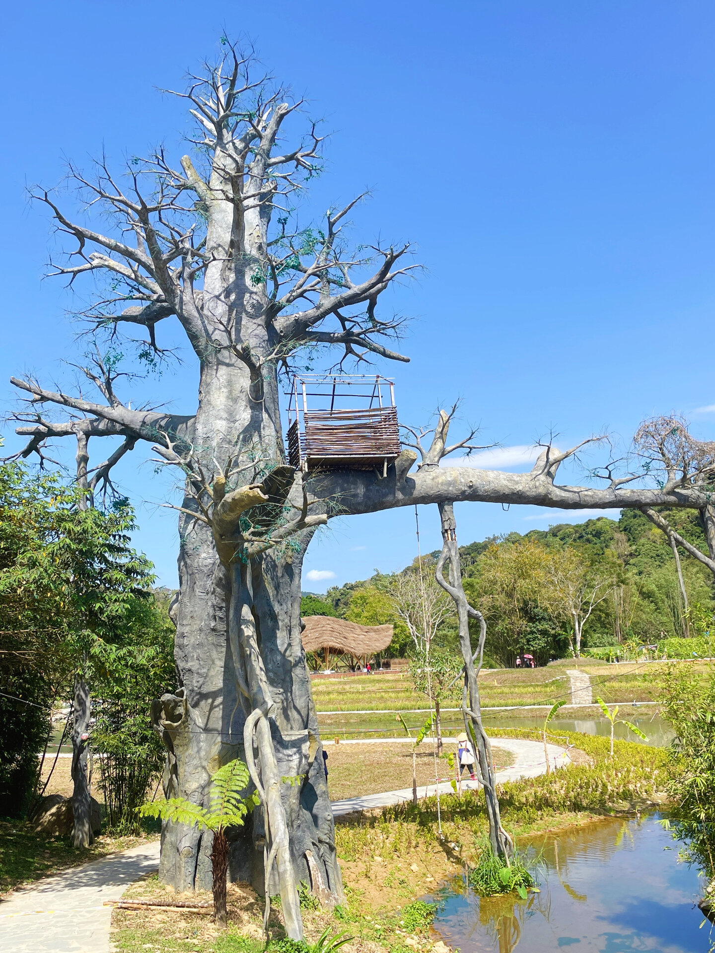 海南小众景点|9015水满乡黎族毛纳村